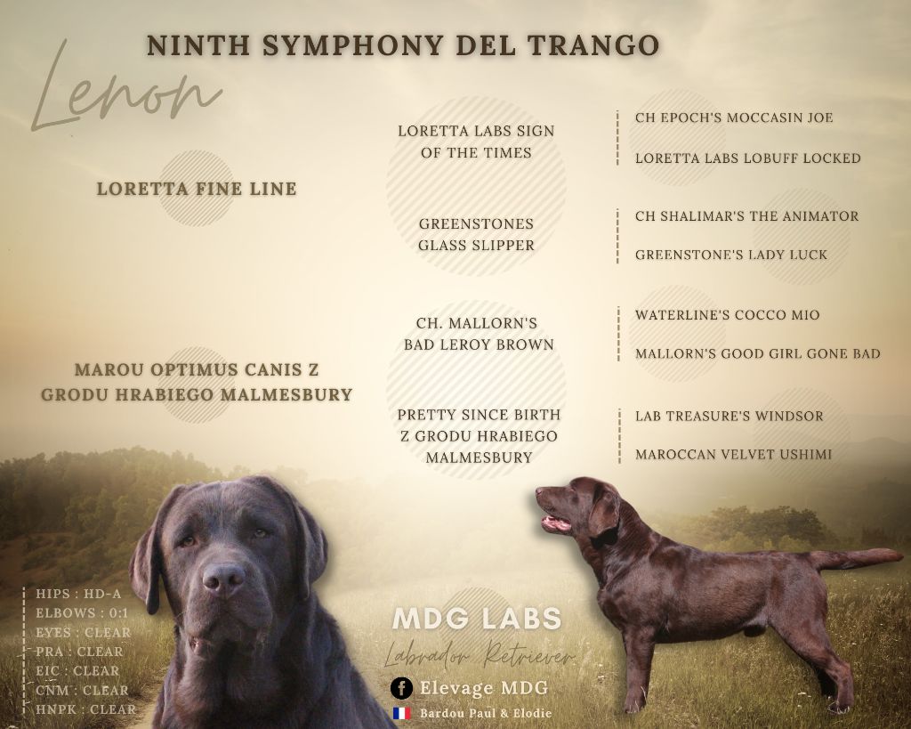 Ninth symphony del trango