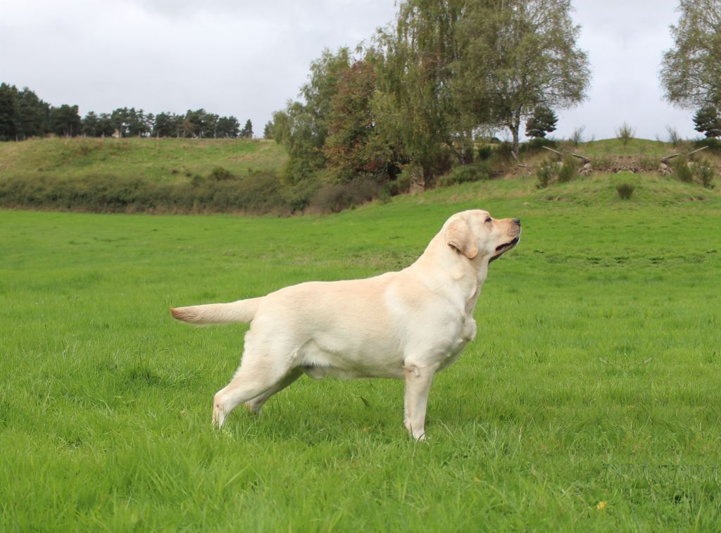 Némo special secret